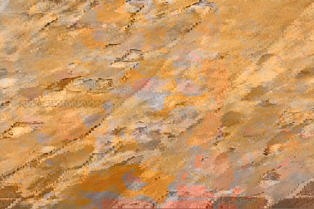 Similar – Image, Stock Photo much wall = little sky