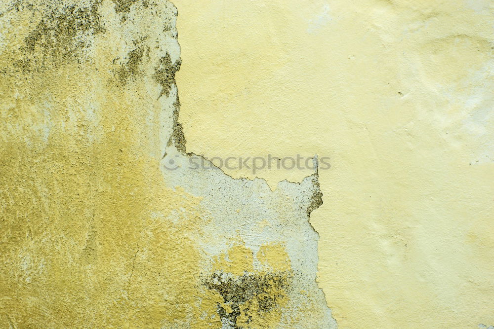 yellow in texture wall