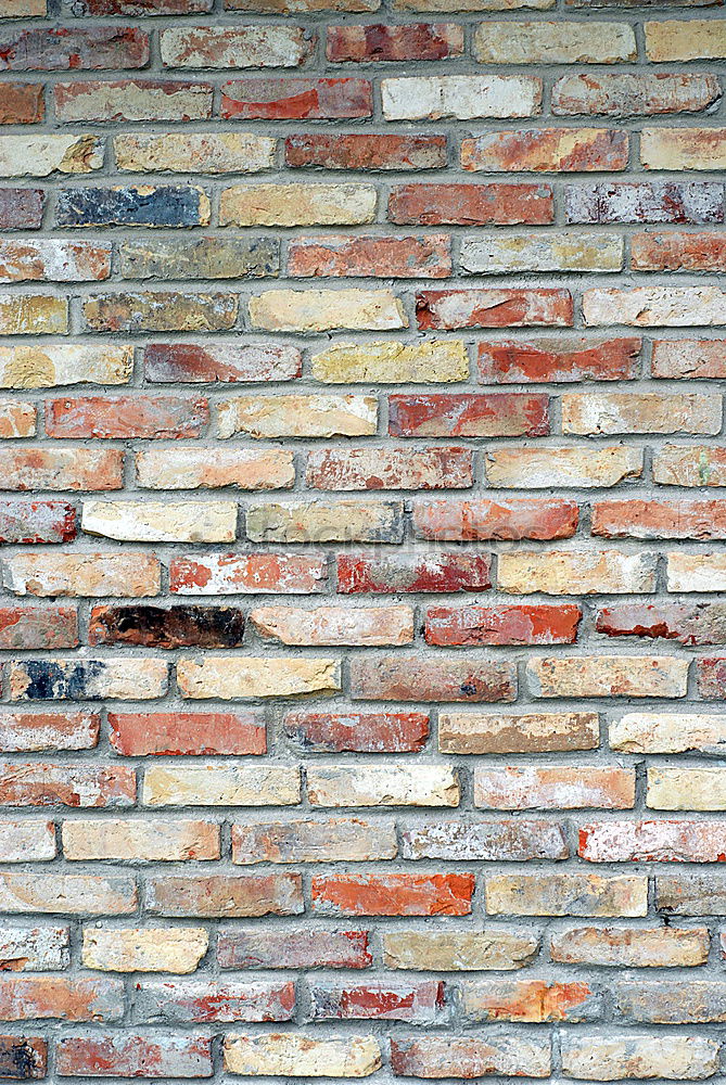 Similar – Image, Stock Photo A piece of Venice