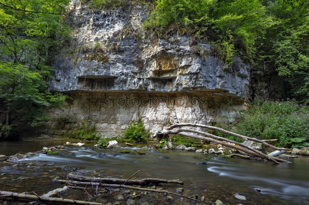Similar – Foto Bild Käseberg Natur Pflanze