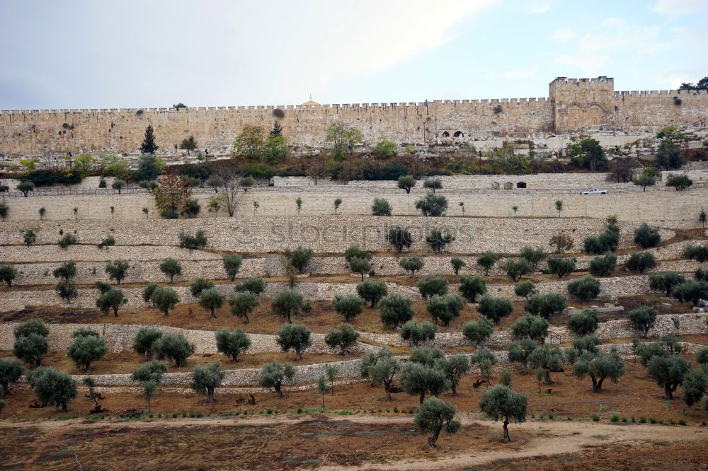 Similar – Klagemauer am Abend Israel