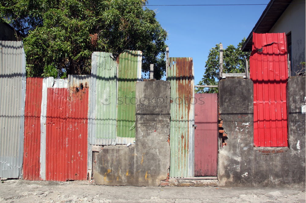 Image, Stock Photo Boy at the gate Cuba Green