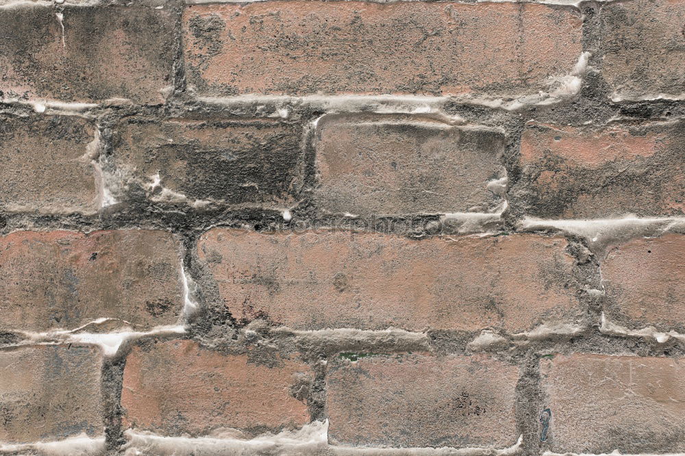 Similar – bricked-up Wall (barrier)