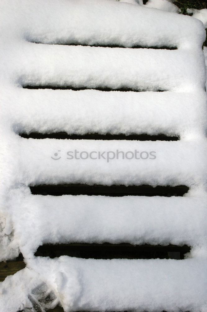 Similar – Image, Stock Photo EVERY DAMN MORNING Winter