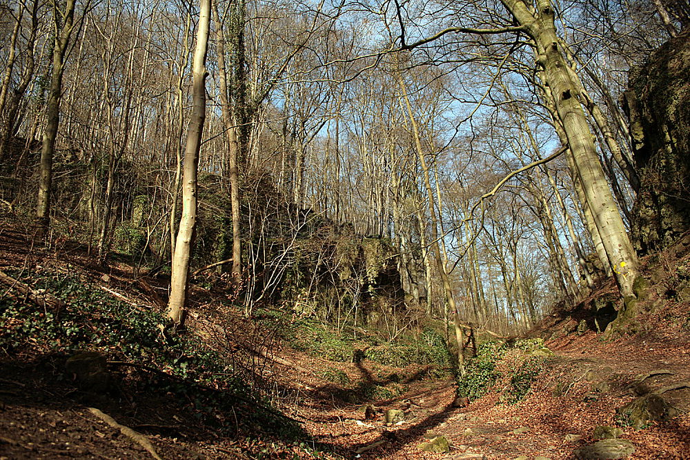 Similar – Image, Stock Photo forest path Well-being