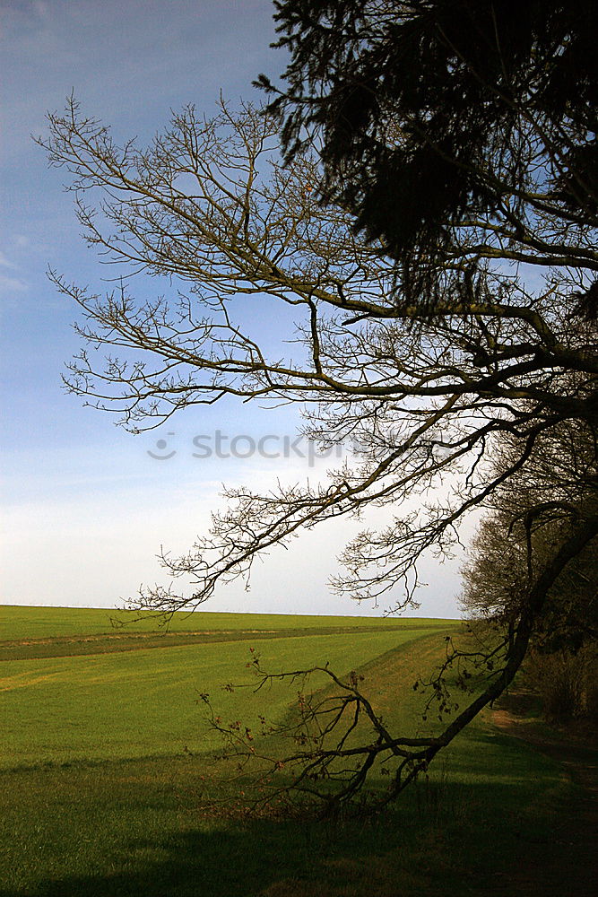 Similar – herbstlandschaft I Herbst