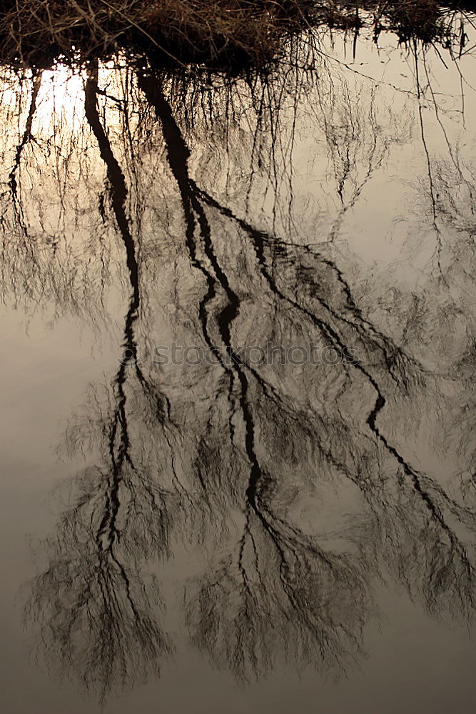 Similar – Image, Stock Photo The light at the end of the tribe