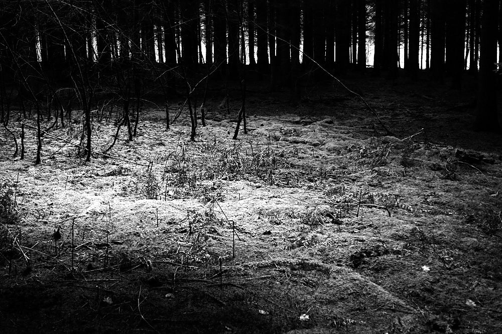 Similar – Foto Bild Nachtfotografie elegant