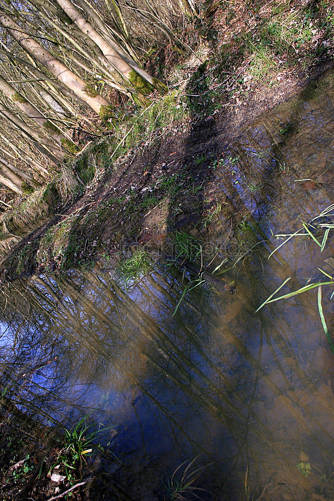 Similar – Image, Stock Photo Pipe and water Grass