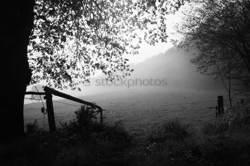 Similar – Image, Stock Photo Castle park in autumn Park