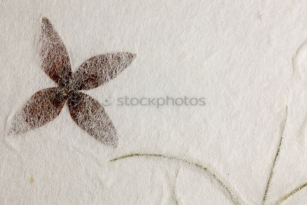 Similar – Image, Stock Photo herbarium Design
