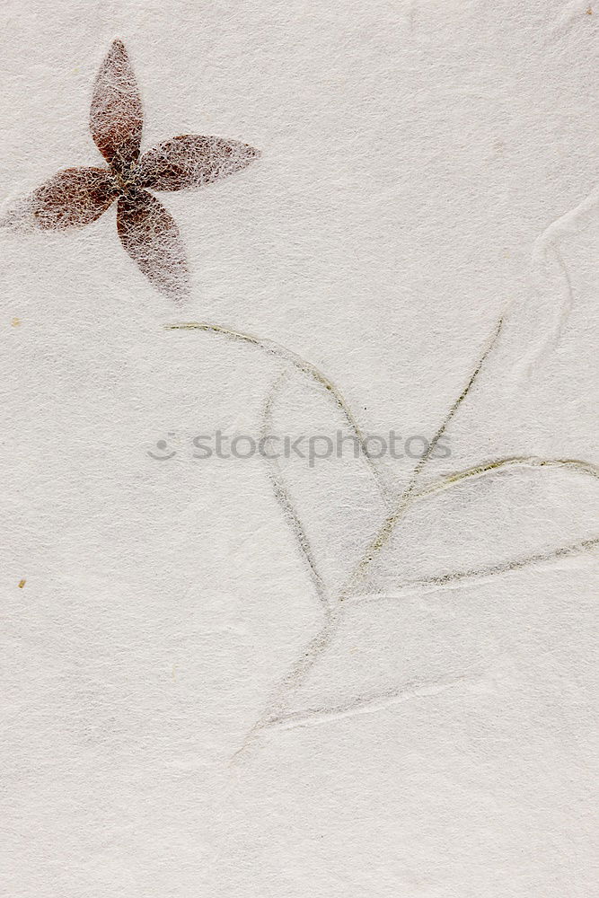 Image, Stock Photo herbarium Art Environment