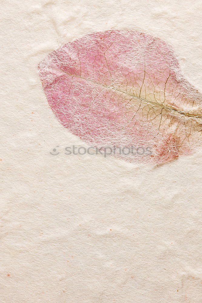 Similar – Image, Stock Photo herbarium Art Environment