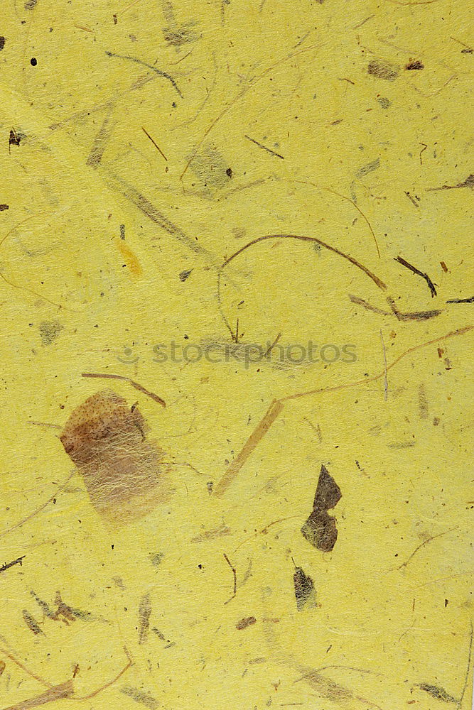 Similar – Image, Stock Photo sex sells Yellow Brown
