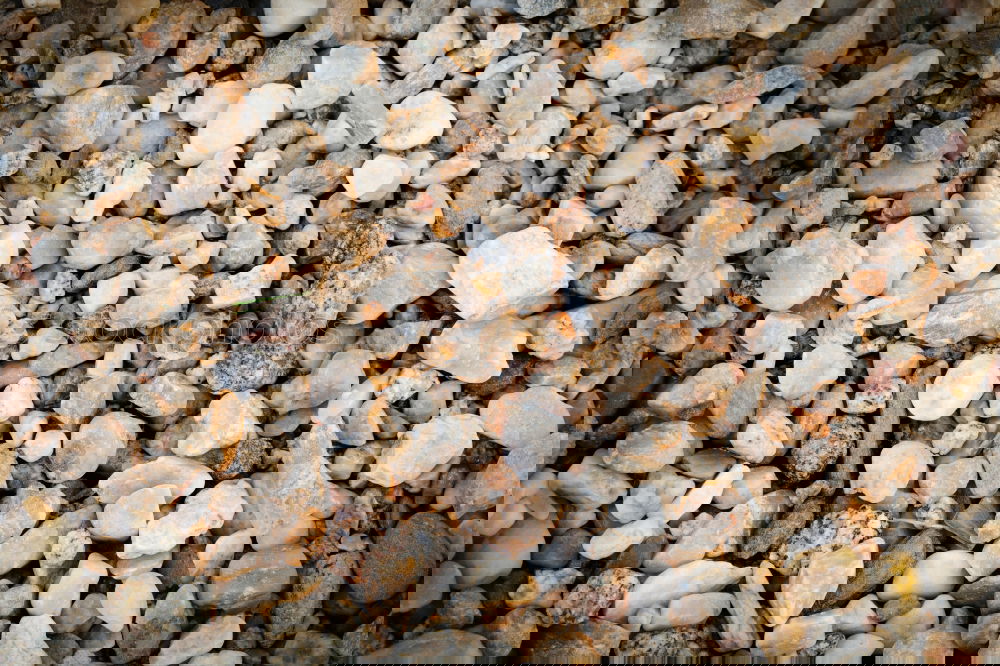 Image, Stock Photo Wallpaper with small stones of the beach
