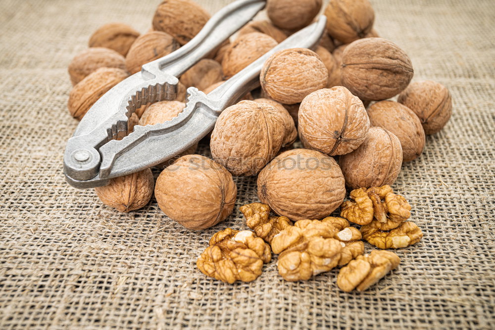 Walnuts Nutcrackers Food