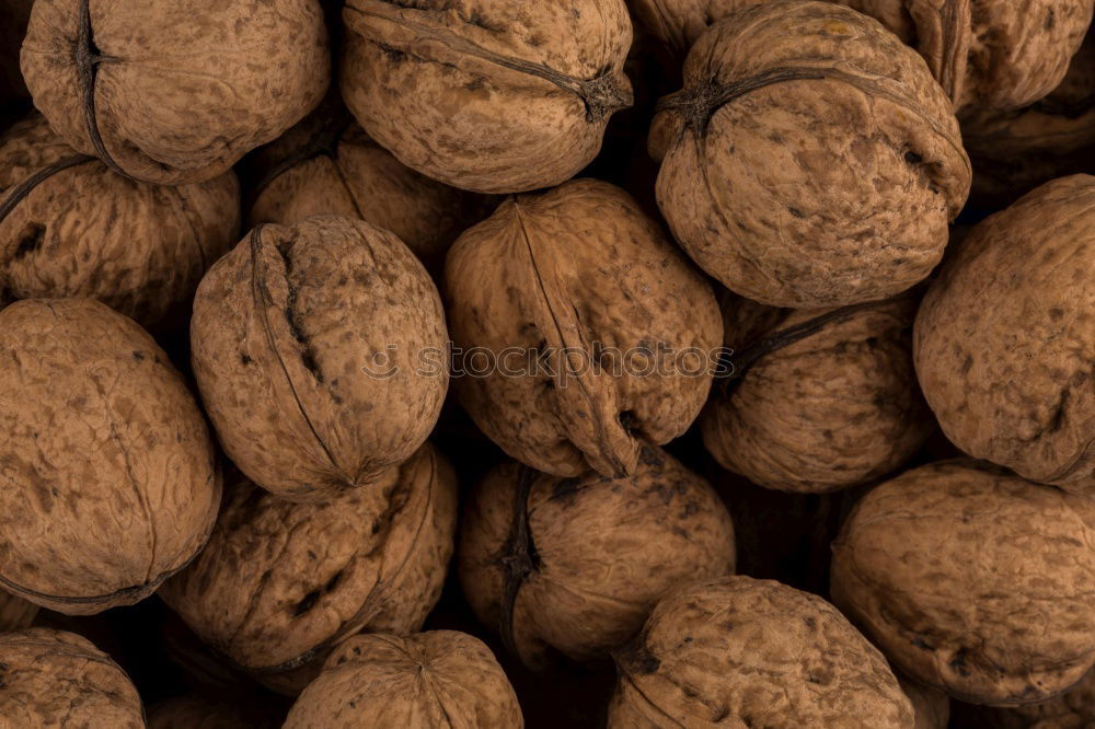 Similar – walnuts Food Nutrition