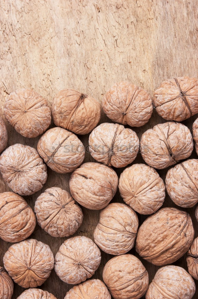 Similar – walnuts Food Nutrition