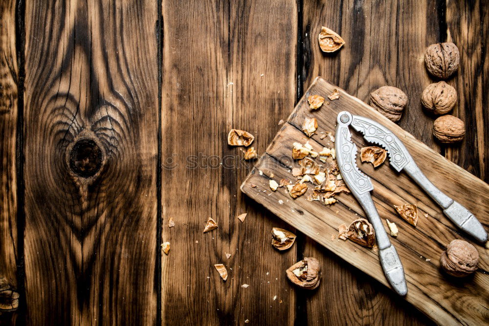 Similar – Image, Stock Photo nutcracker: a hammer that opens nuts, plus three cinnamon stars