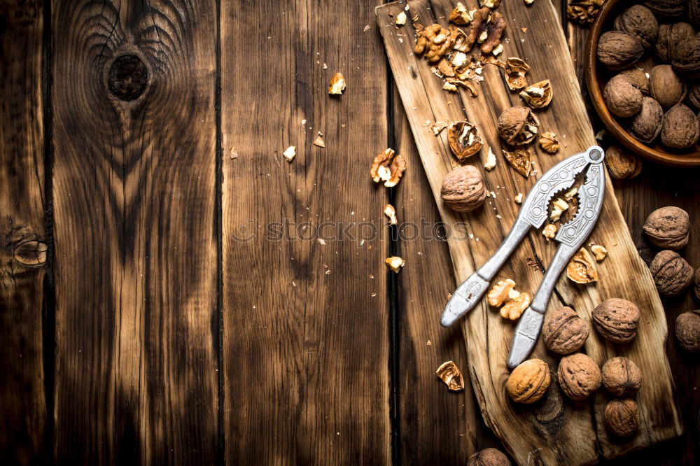 Similar – Image, Stock Photo nutcracker: a hammer that opens nuts, plus three cinnamon stars