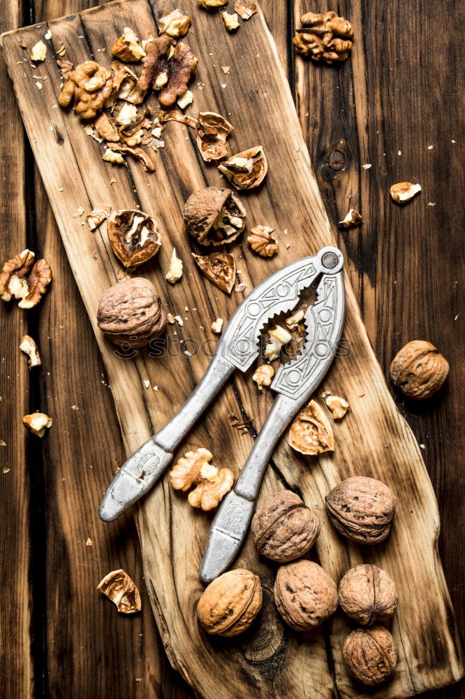 Similar – Image, Stock Photo Fresh walnuts with a nutcracker