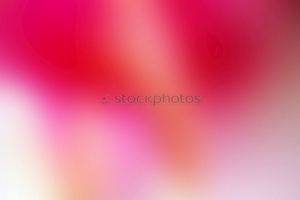 Similar – Image, Stock Photo Petal of a Stargazer lily in bloom
