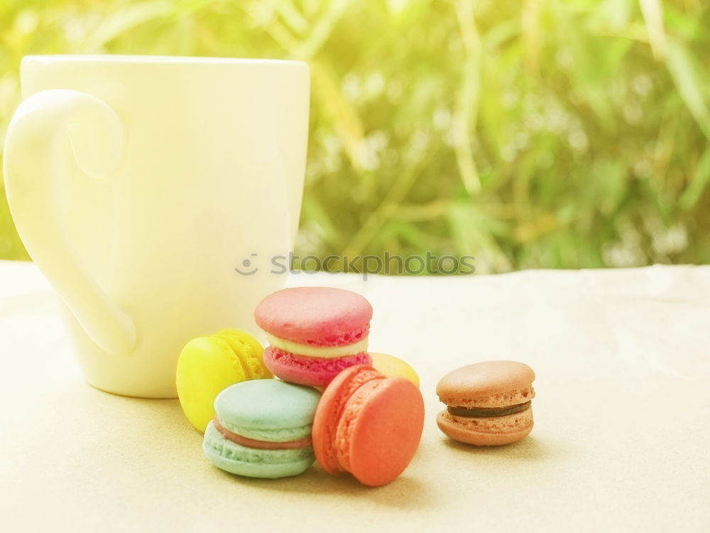 Similar – Image, Stock Photo multicolored macaroons