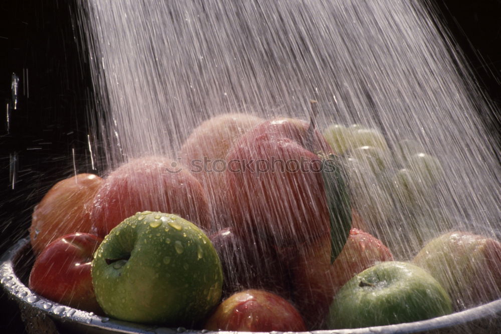 Similar – Image, Stock Photo plum harvest Sink Plum