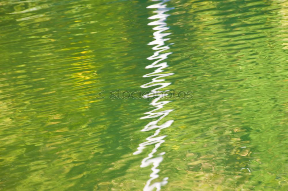 Similar – Alhambra Green Calm Water