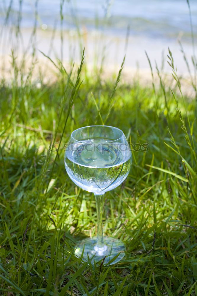 Similar – Old watering can on the grass