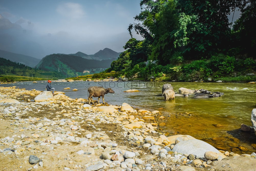 Similar – idylle am mekong Leben