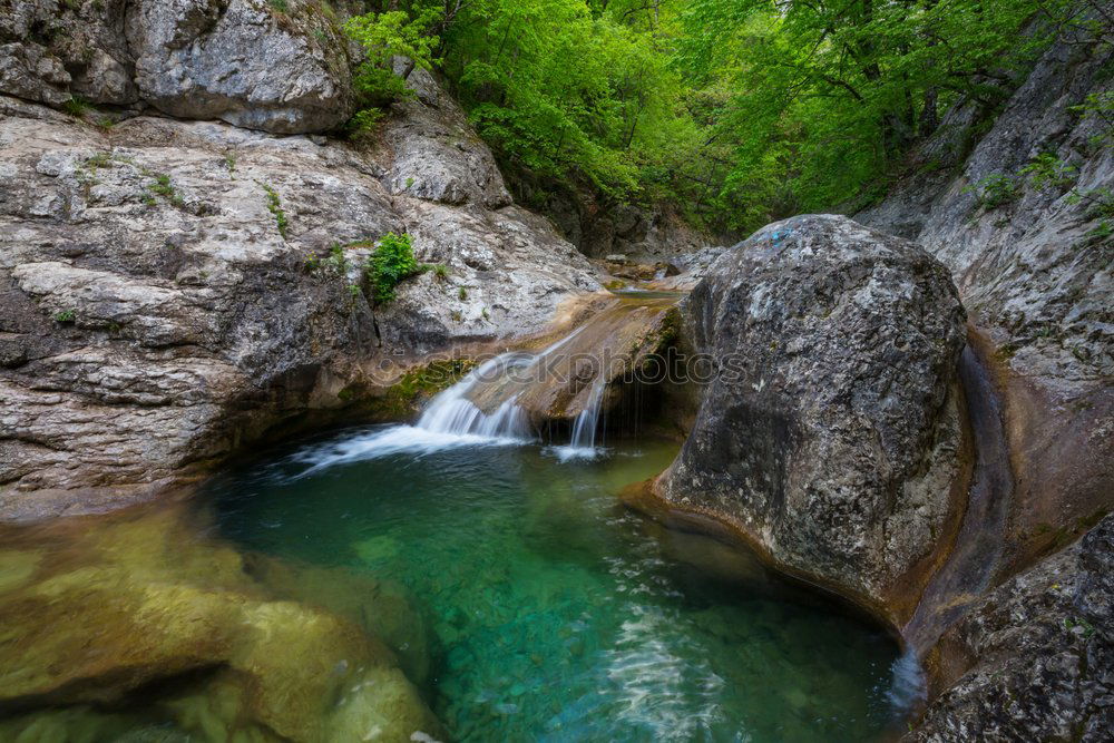 Image, Stock Photo Aare Gorge Environment