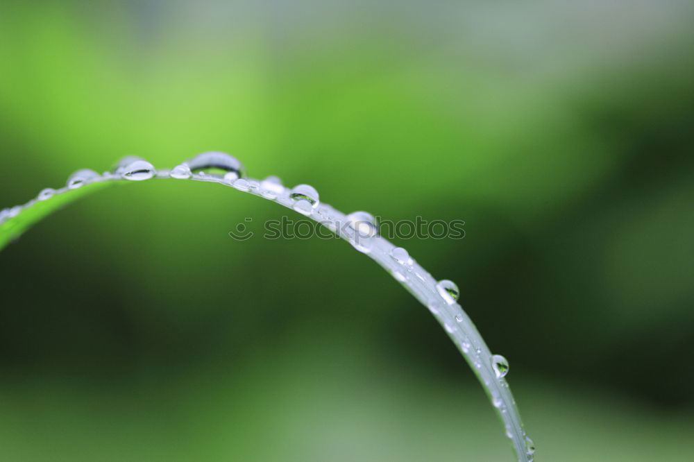 Similar – Image, Stock Photo rainy day Fence