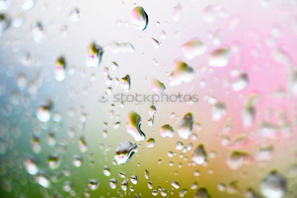 Similar – Different vehicles in a traffic jam through the rainy bus glass