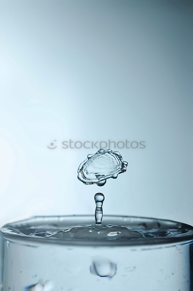 Image, Stock Photo Spring in a glass Glass