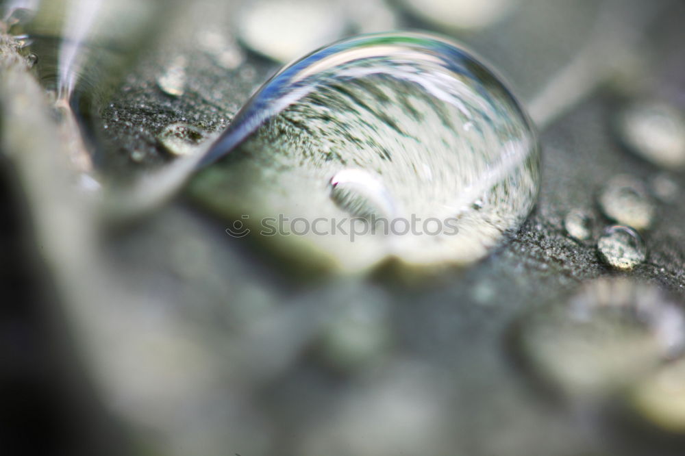 Similar – Image, Stock Photo The Dome Art Plant Water