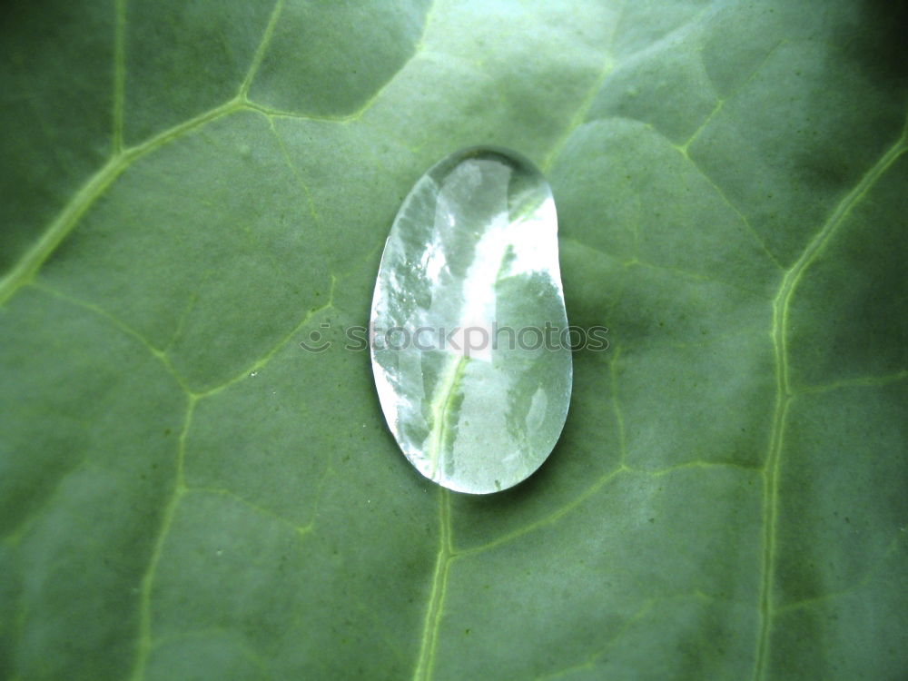 Similar – Image, Stock Photo The drops of water