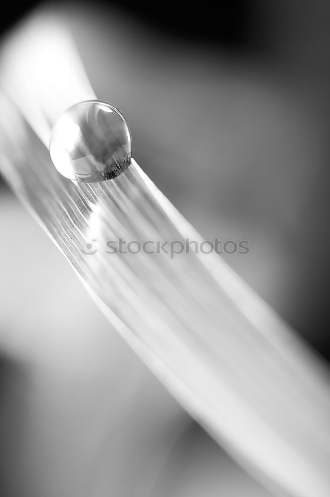 Image, Stock Photo Drop formation II