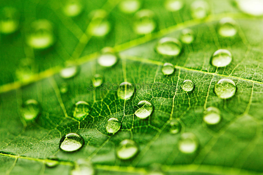 Similar – Image, Stock Photo water drops Style