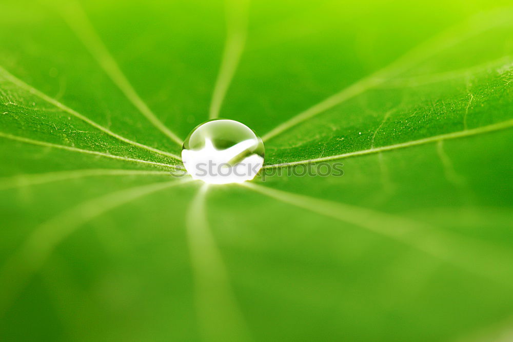 Similar – Image, Stock Photo #AS# Büdddeee! Art