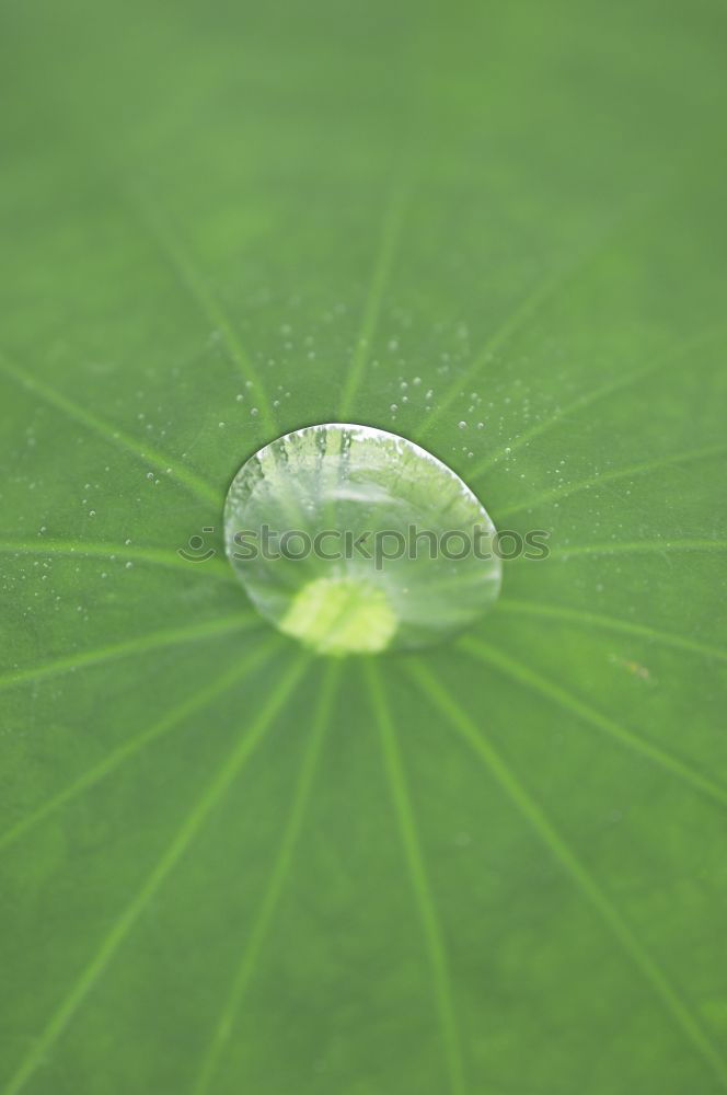 Similar – Image, Stock Photo The drops of water