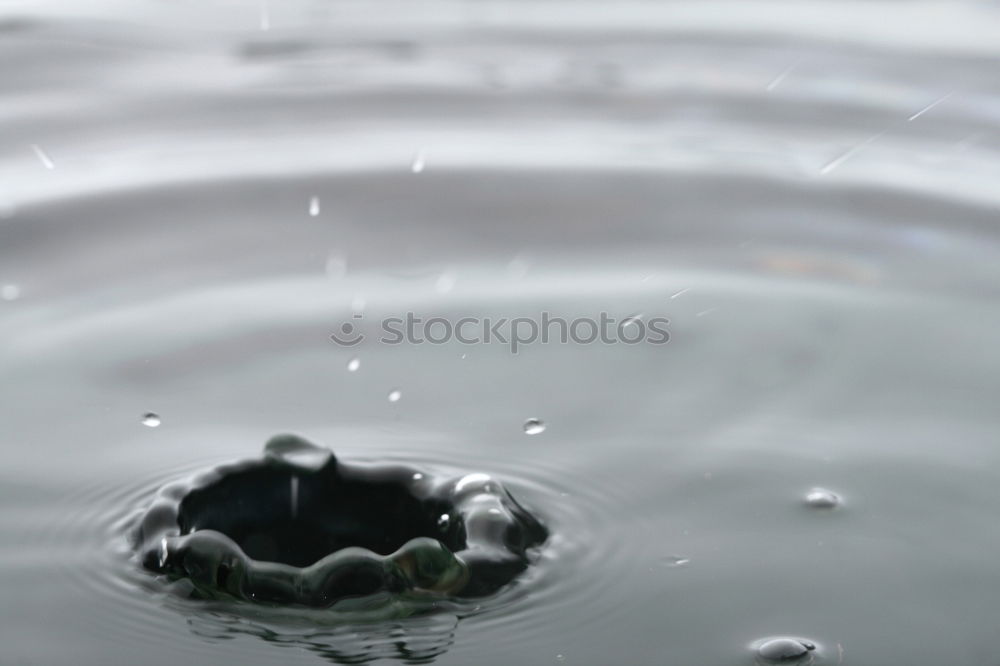 Similar – Image, Stock Photo The Dome Art Plant Water