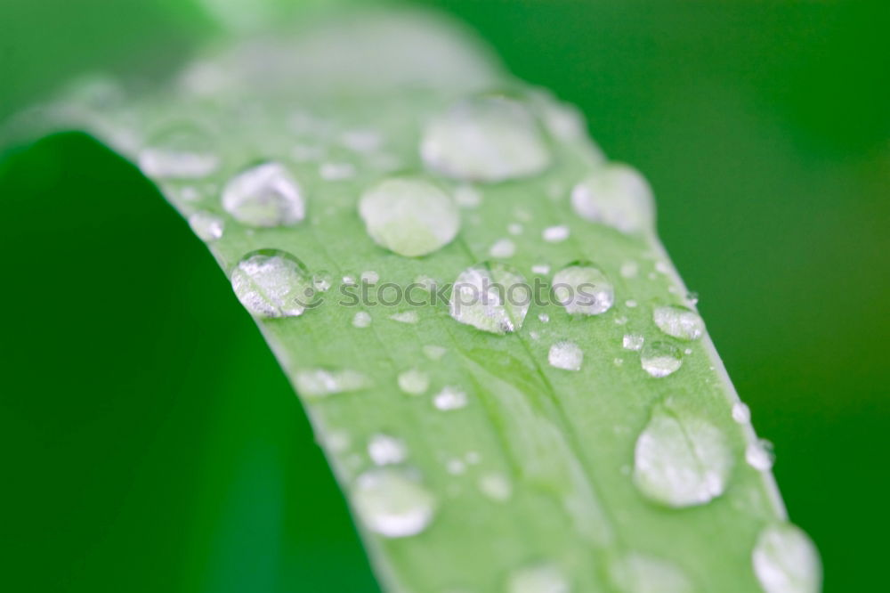 Similar – Image, Stock Photo water drops Style