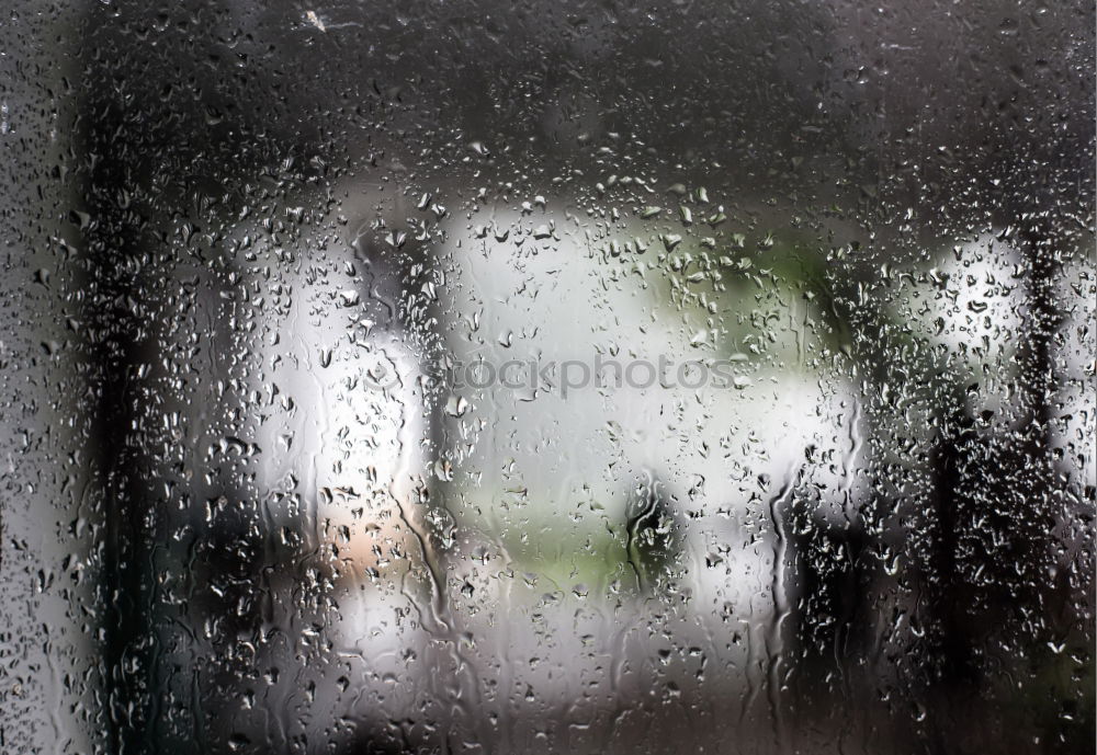 Similar – Image, Stock Photo cold and wet Umbrella Cold