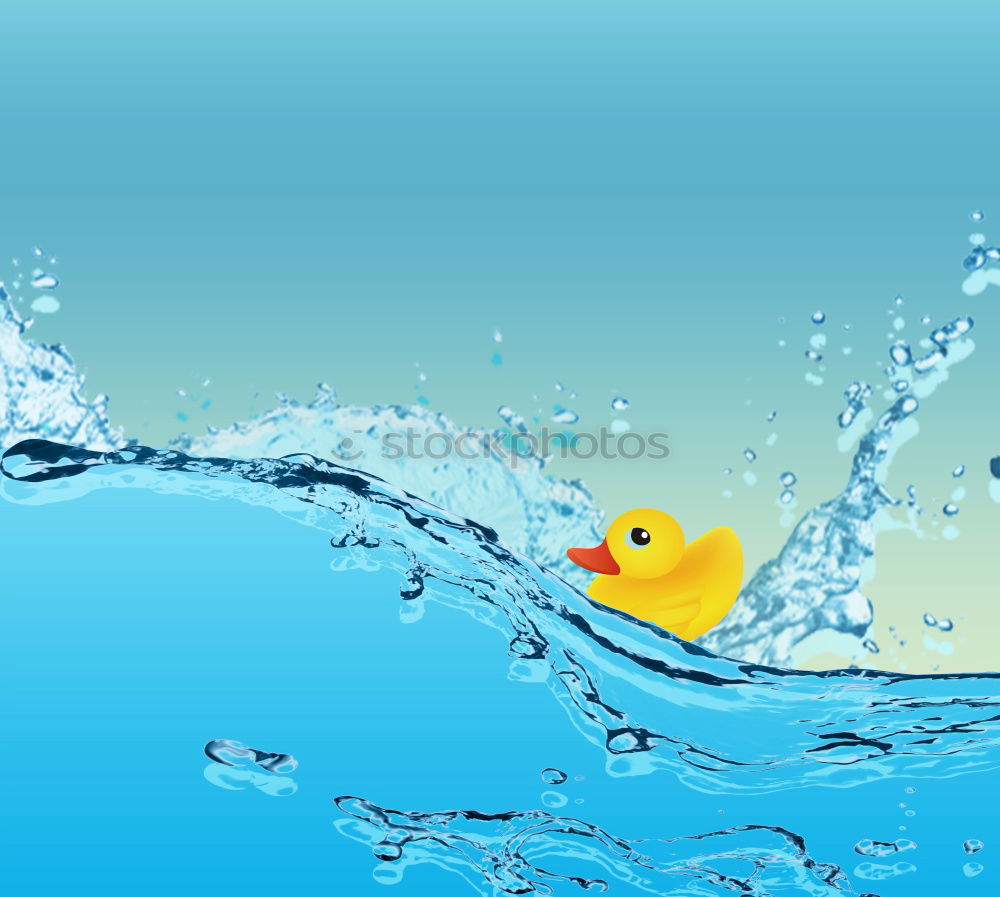 Image, Stock Photo Funny, witty, yellow billy goose with huge, big glued-on fake eyes, looks curious. Bright, poppy little rubber duck waiting for bath. Gummitier is looking forward to beach holidays, pool, summer holidays, bathing holidays, water splashing.