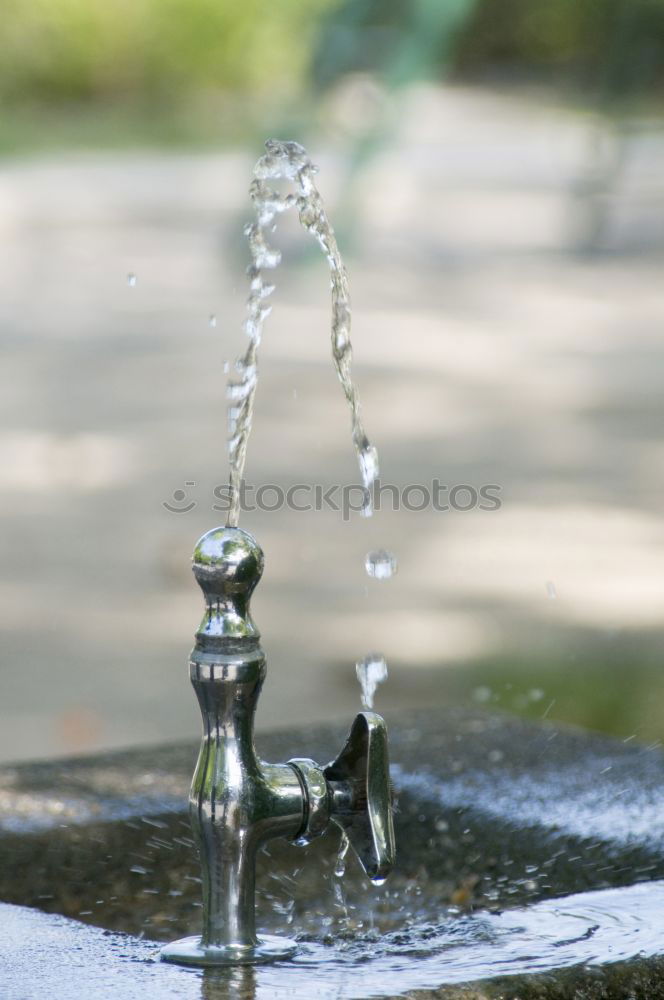 Similar – Image, Stock Photo Public washbasin Nature