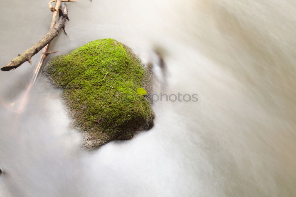 Similar – Image, Stock Photo Trash 2018 | Autumn Remains II