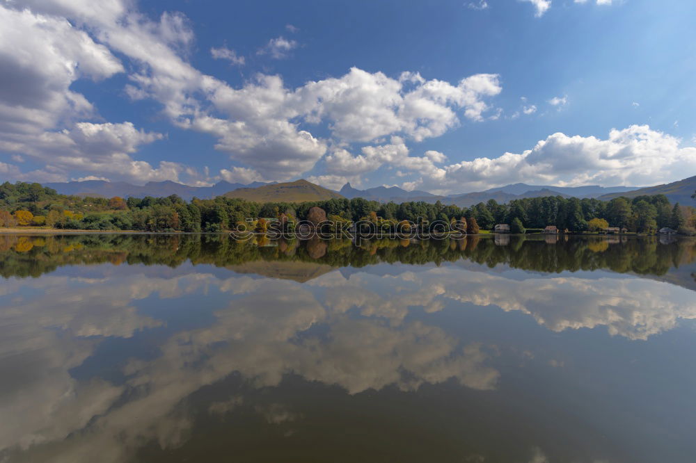 Similar – Foto Bild der herbst ist blau und grün