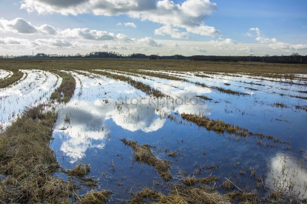 Similar – Foto Bild Solzow Umwelt Natur