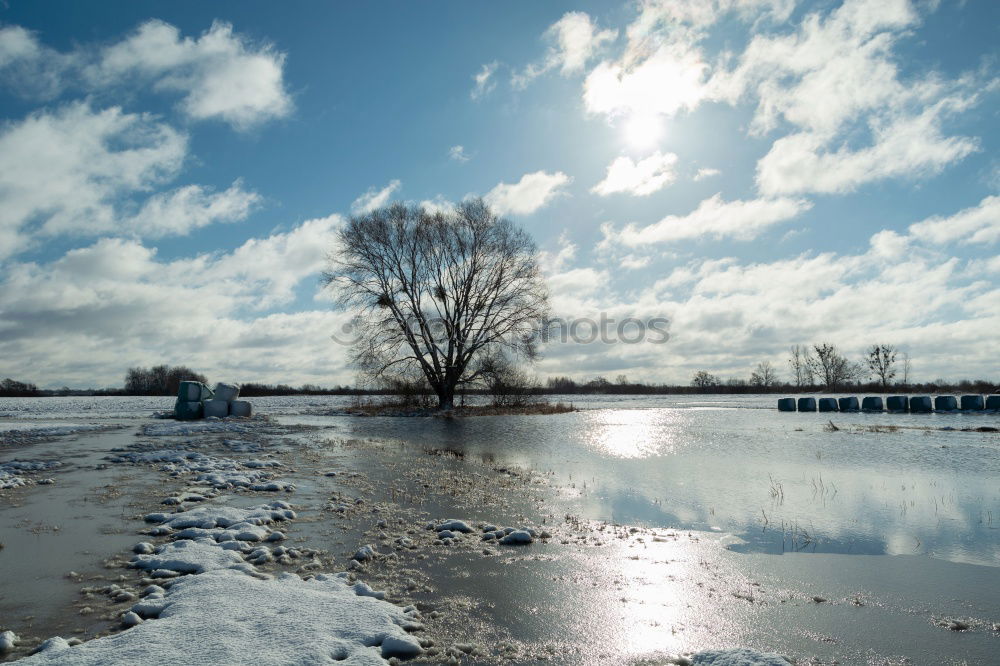 Similar – Foto Bild Winterzauber Landschaft